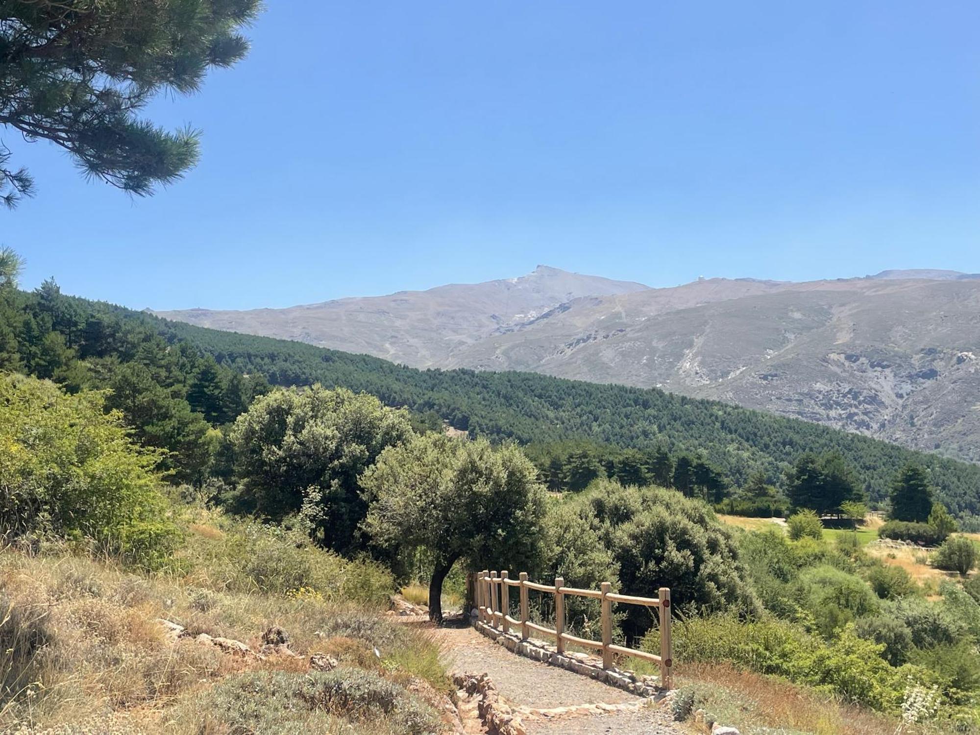 Inside Plaza Sierra Nevada Daire Dış mekan fotoğraf